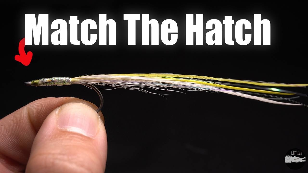 Tying the Eelie By Ken Abrames, Match the Hatch for Small Sand Eels and Big Striped Bass!