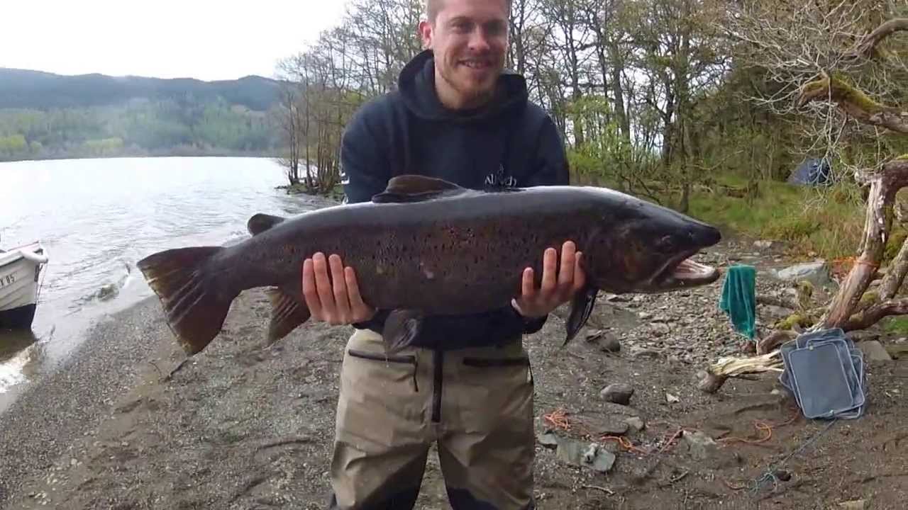 Ferox 85 Group - 21lb ferox trout catch and release - Loch Awe,May 2013.