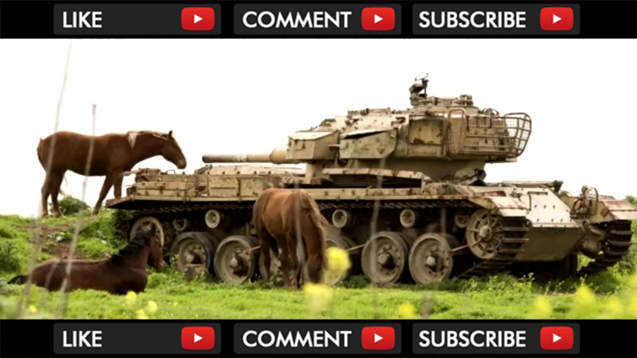 Abandoned Legendary Tanks. Graveyard of Tanks
