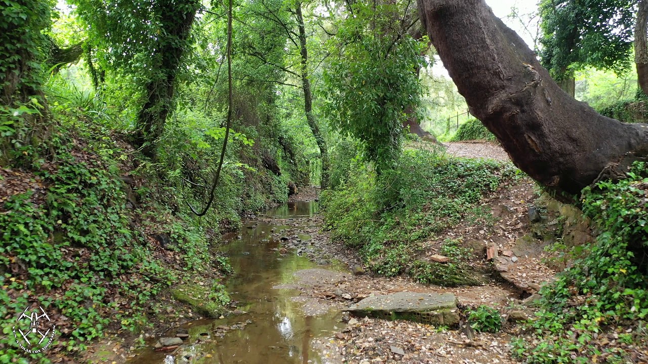 PAISAJES VERDES EN LA SIERRA DE HUELVA