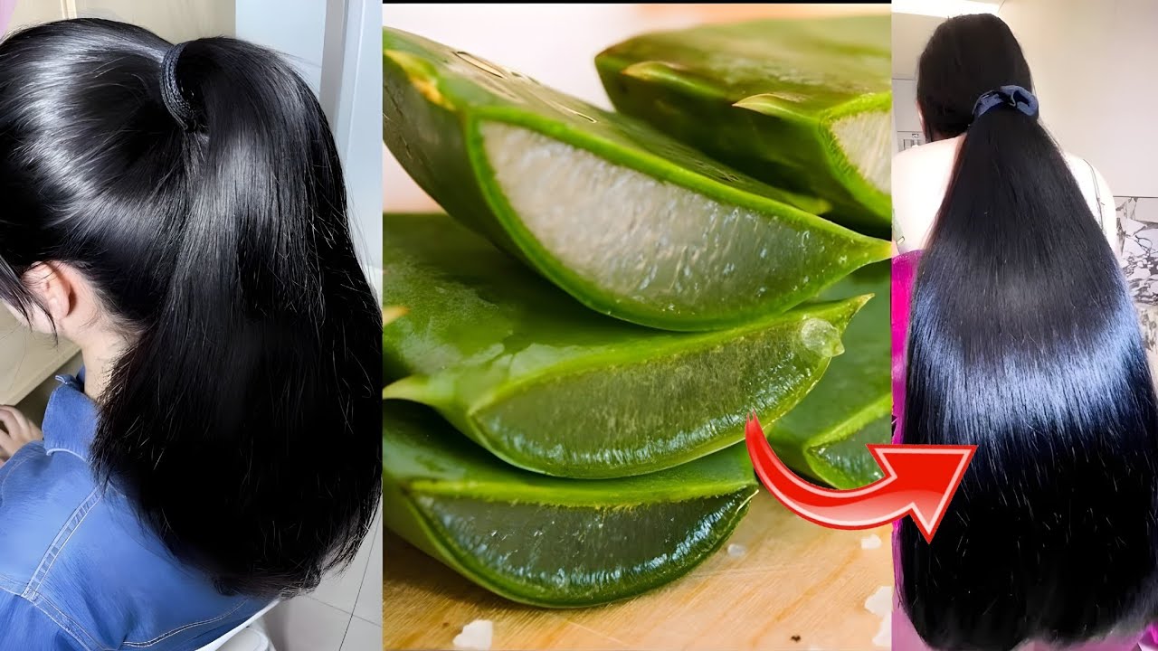 सुबह बाल धोने से पहले Aloe Vera इस तरह लगालो बाल इतने लंबे, घने, सिल्की, शाइनी हो जाएंगे Hair Growth