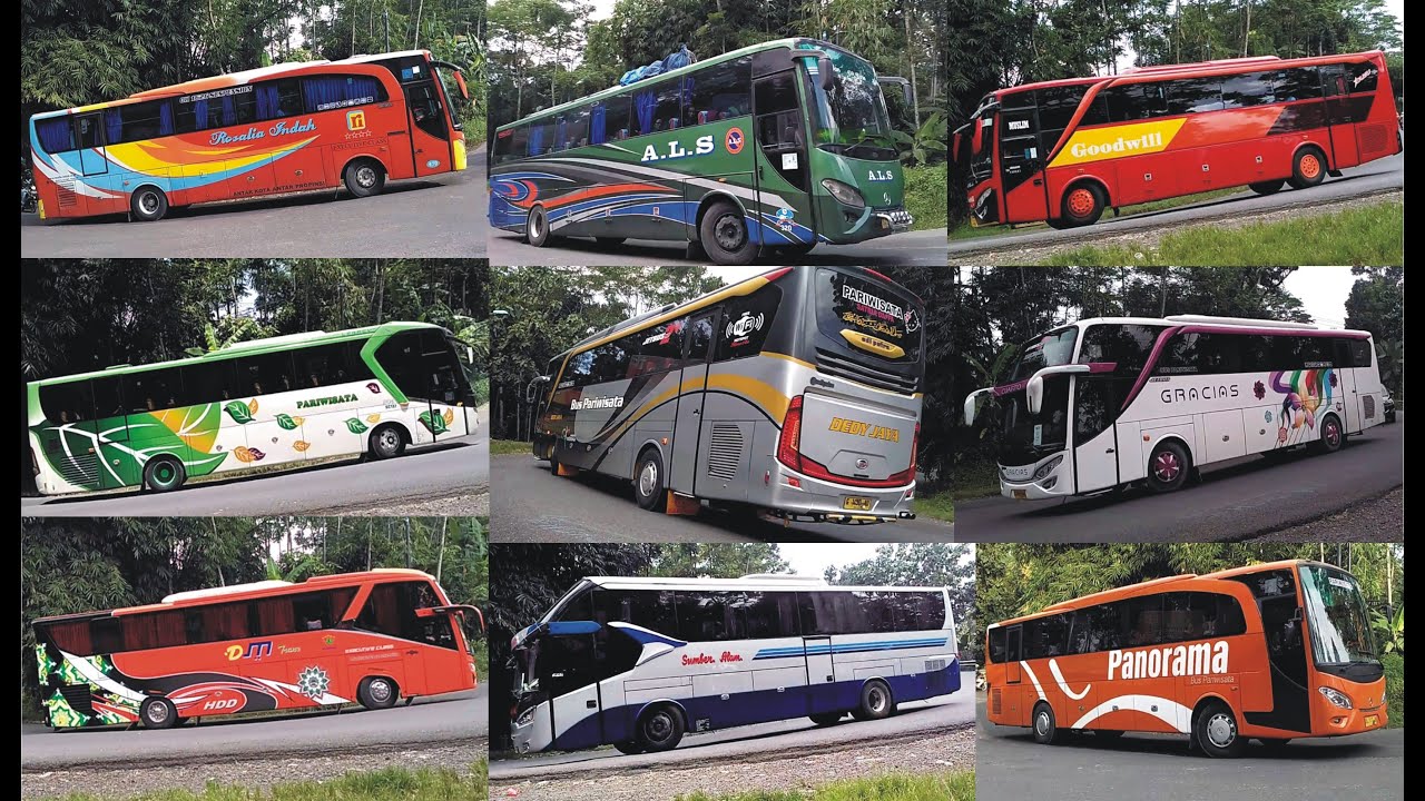 Bismania Bus Akap dan Pariwisata Terbaru yang Biasa Lewat Tikungan Timez 2019