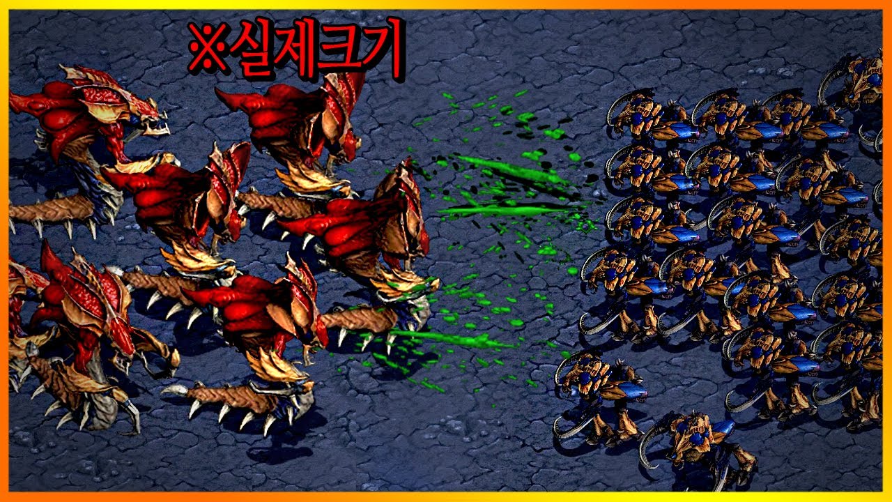 스타1 초대형 히드라.