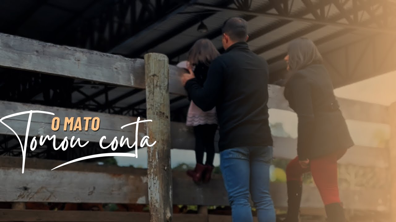 Vida no interior | reforma da casinha | corte de grama 