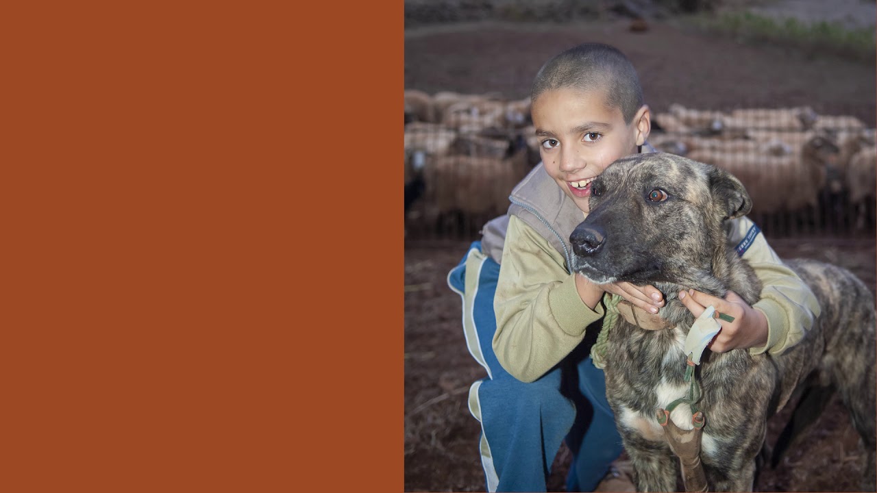 Pastores de Volcanes y Alisios, de Javier Gil León