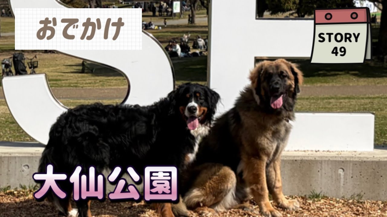 【ななエル物語】No.49大仙公園でのんびりお散歩
