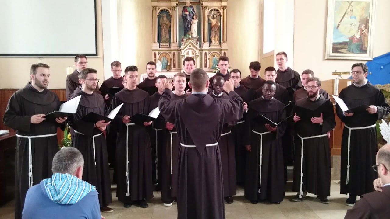 Franjevački bogoslovi - Misao svijeta