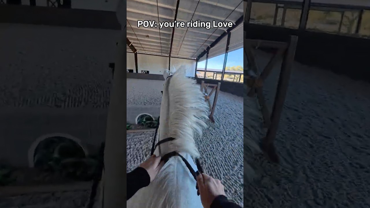 POV: you’re riding Love 