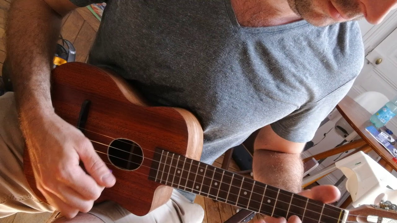 Ukulele jazz manouche padouk concert caravelle kitchen