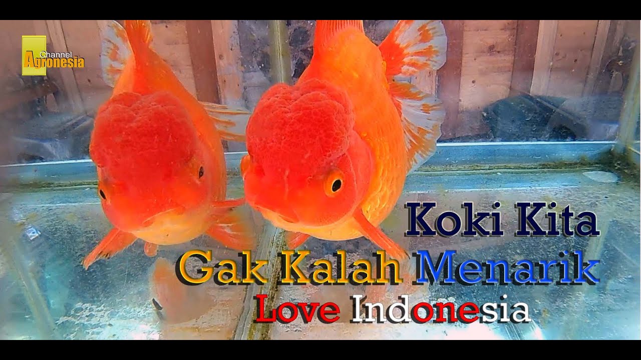 Ciptakan Kualitas Terbaik 