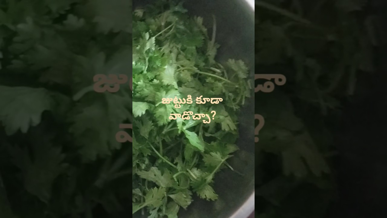 Get Thick Hair Naturally with Coriander | Hair Growth Remedy!