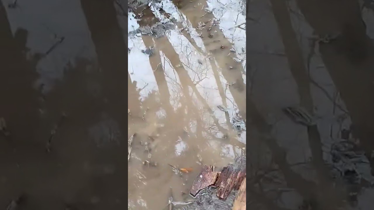 Shallow/Well/Pond-Start Hand Digging
