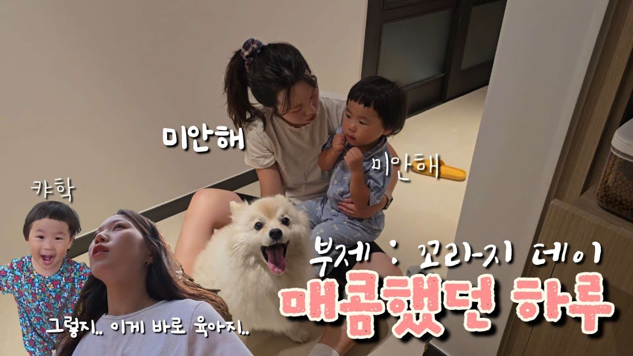 매콤했던 하루, 어린이집 적응기간 중 낮잠을 못잤다면 무조건 집으로 갑시다, 30대주부브이로그, 39개월 어린이 육아