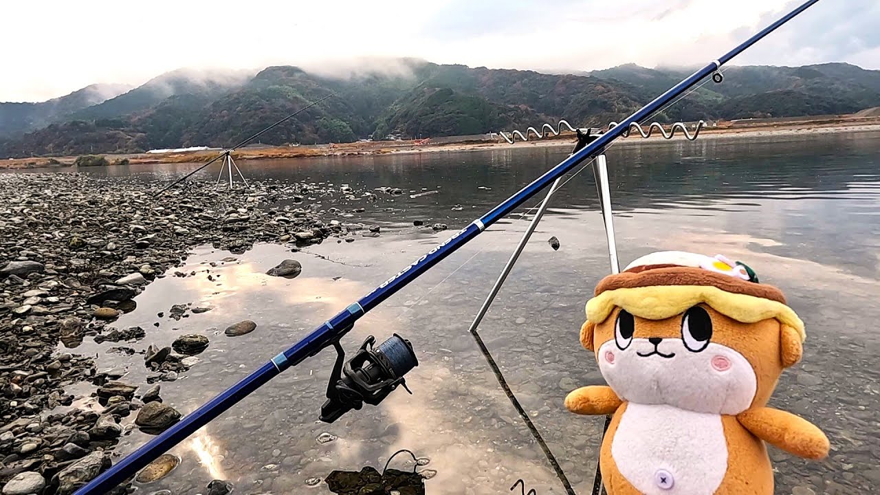 雨降る真冬の鯉釣りで９０オーバーの大鯉と激闘です！