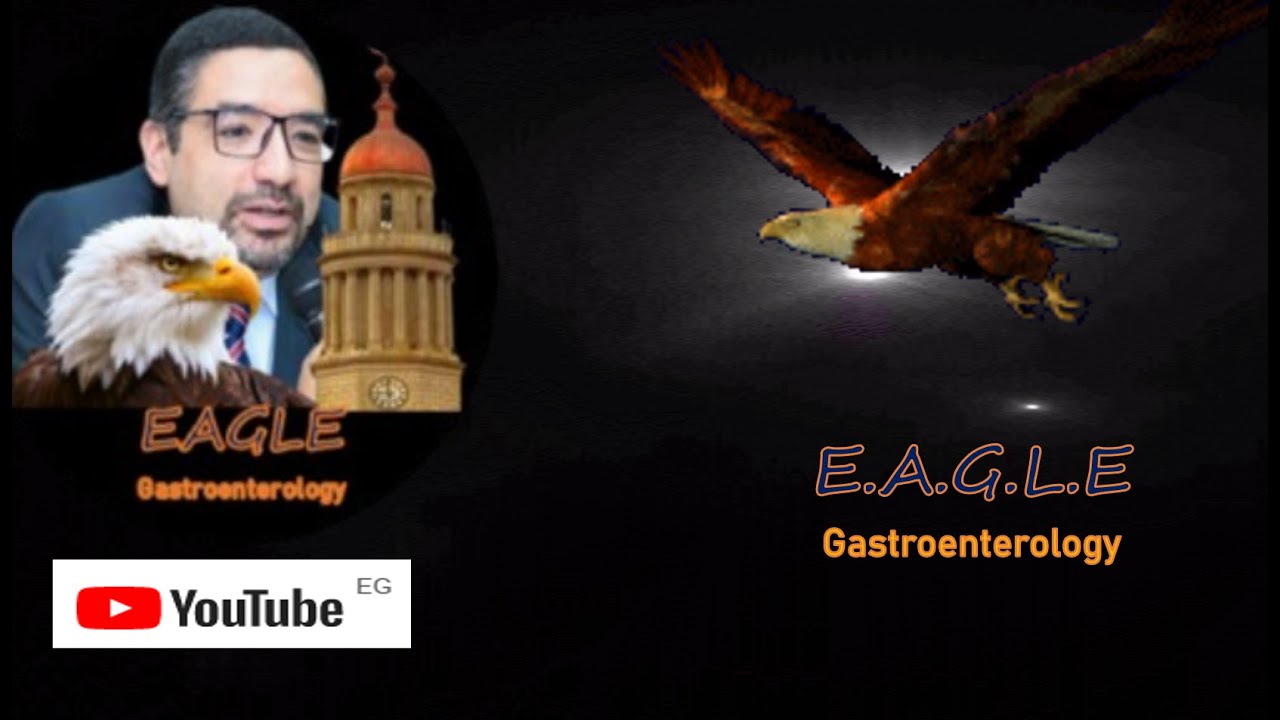 GI Series (24) - IBD Course Lecture 7 - IBD treatment -5 ASA