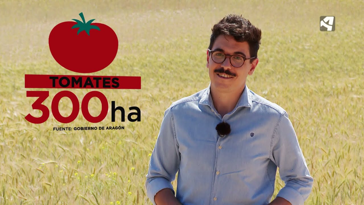 Aragón es Ohio - ¿Qué sembramos?