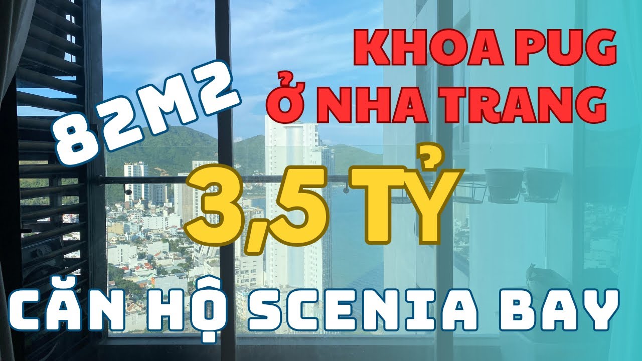 Bán Căn Hộ Scenia Bay Nha Trang ||Chính Xác Căn hộ Khoa Pug ở nghỉ dưỡng khi về quê 0963645636