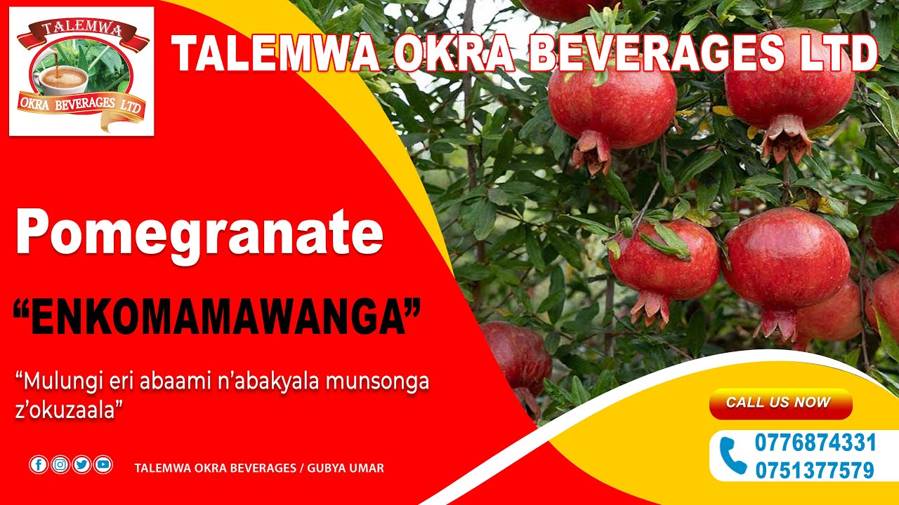 ALEMEREDDWA OKUFUNYISA OBA OKUFUNA OLUBUTO WEKWATE  ENKOMAMAWANGA