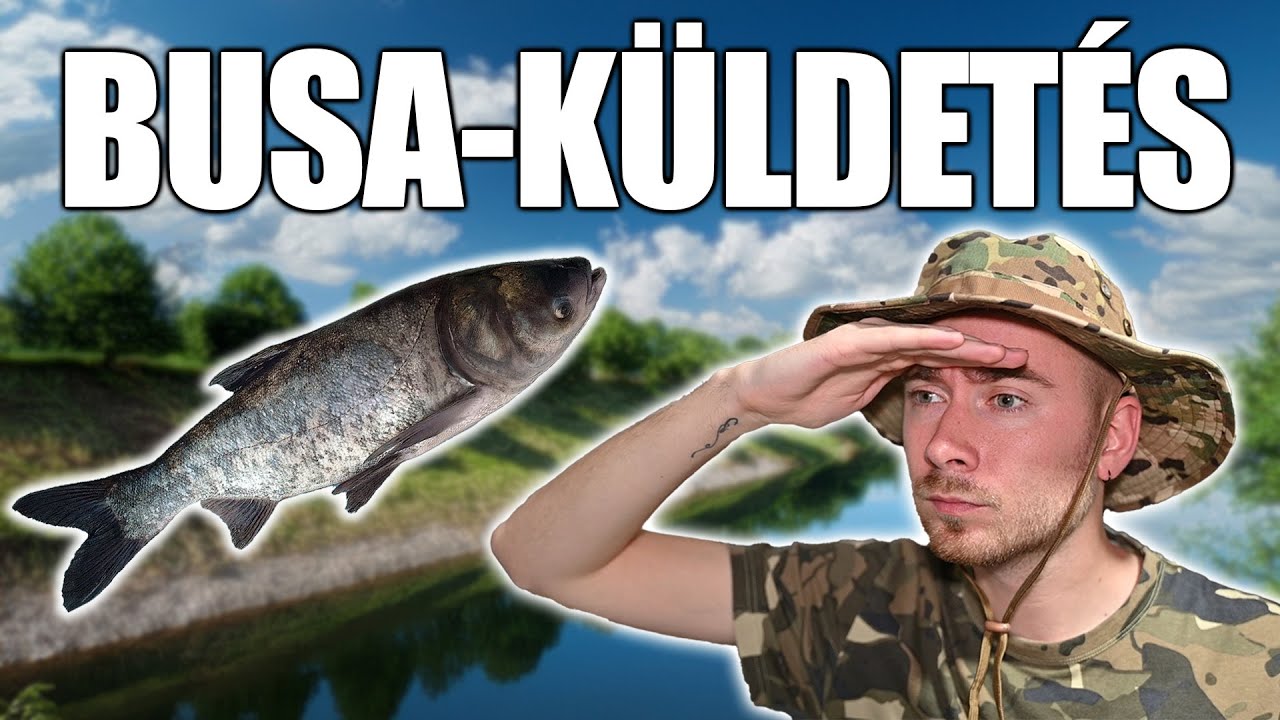 Kalandozás | 5. rész | Busa-küldetés