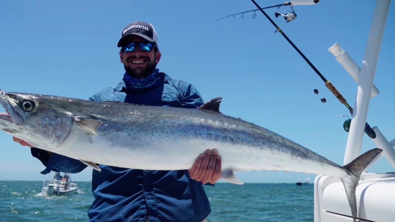 Monster Kingfish! Personal Record! Boca Grande Pass Florida fishing during the May Tarpon Run!
