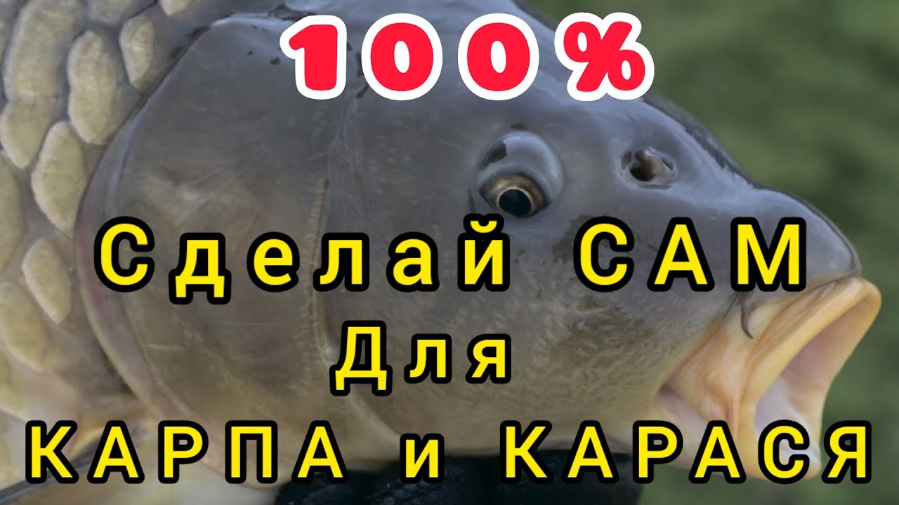 Сладкий Макушатник на КАРПА и КАРАСЯ!!! Рыба будет в садке!