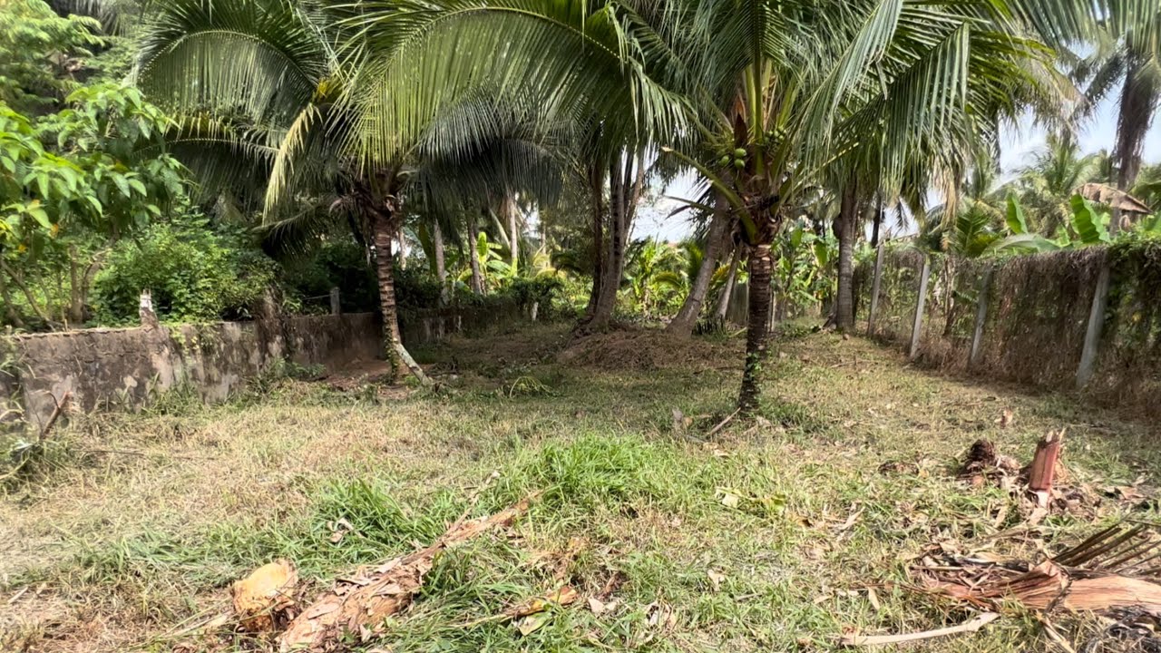 @T2032 Bán 500 M2 Đất Vườn Đường ÔTô Có 268 M2 Thổ Cư Wieu Kênh Gần Đường Nhựa Huyện Lộ 