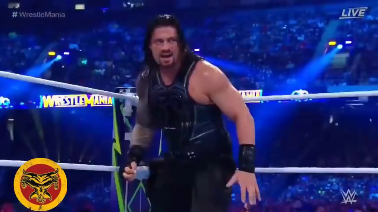 Brock Lesnar vs Roman Reigns WrestleMania 34 highlights HD