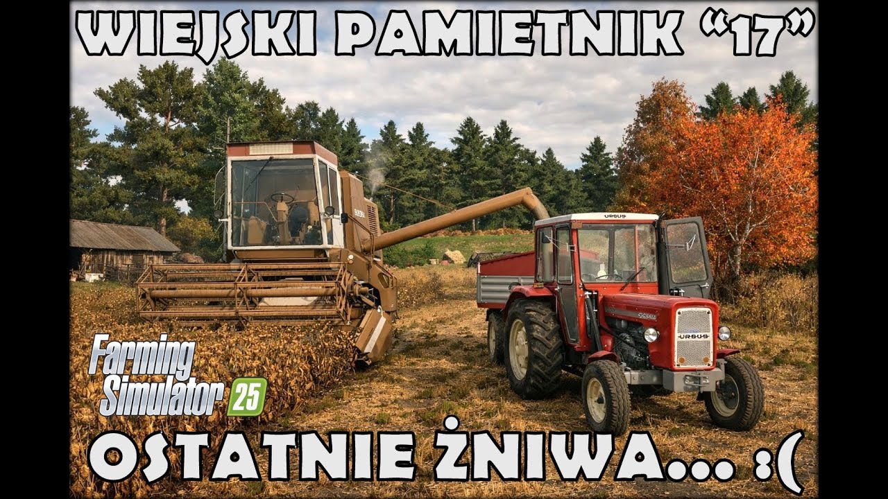 Ostatnie Żniwa na Polskiej Wsi | BIZON NA SPRZEDAŻ  - Wiejski Pamiętnik 