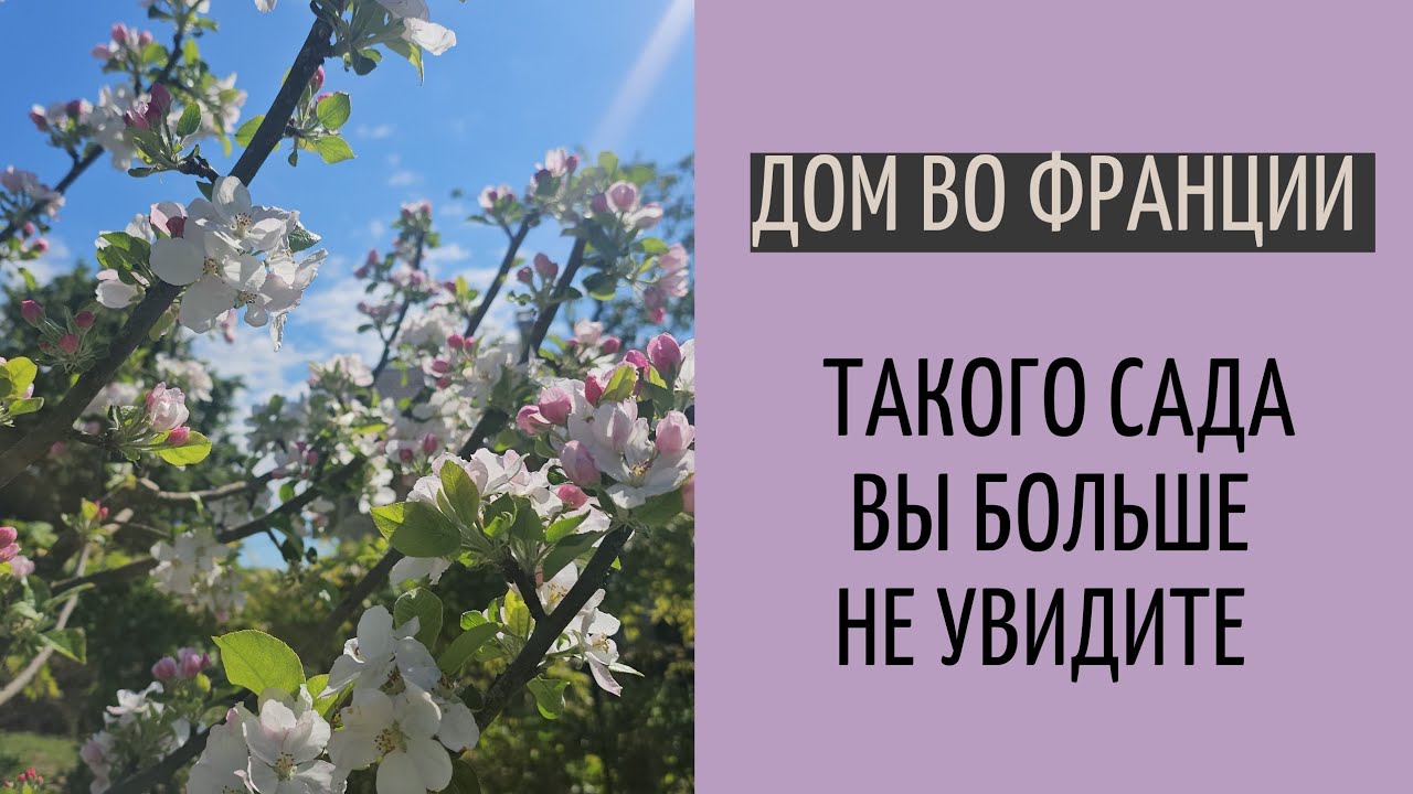 борьба с вредителями в саду| защита томатов|атака слизней