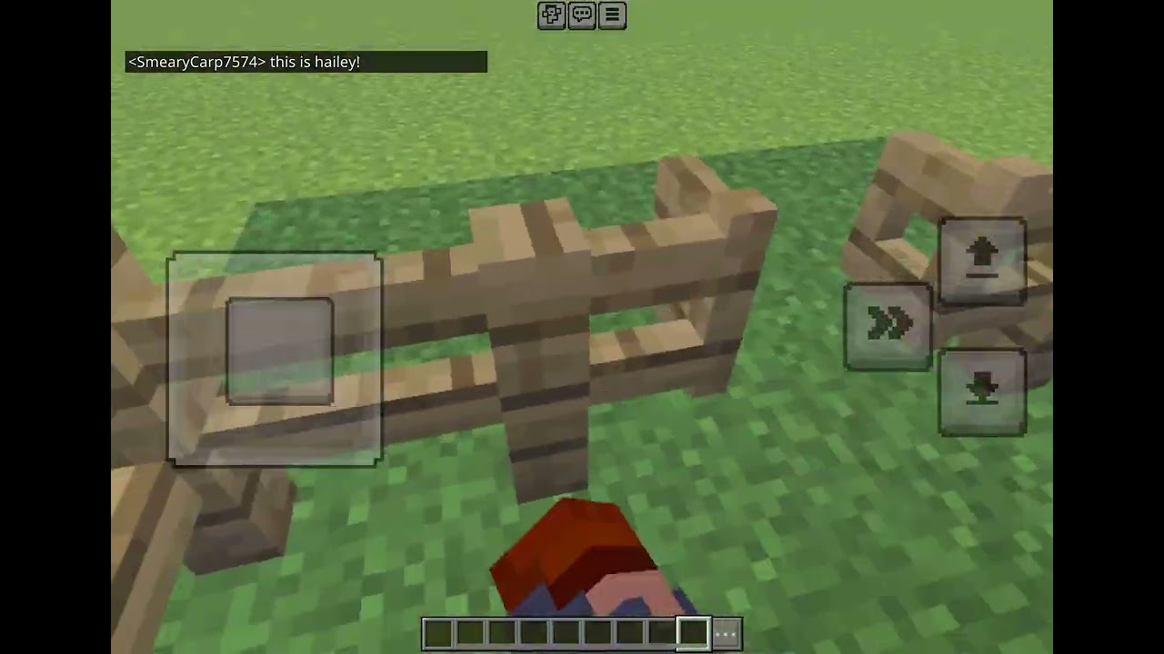 Minecraft house