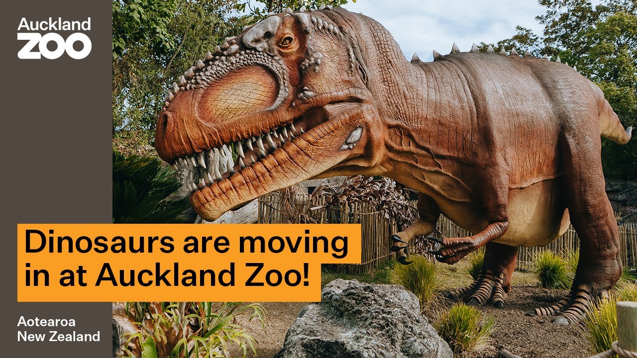 Dinosaurs are moving in at Auckland Zoo!