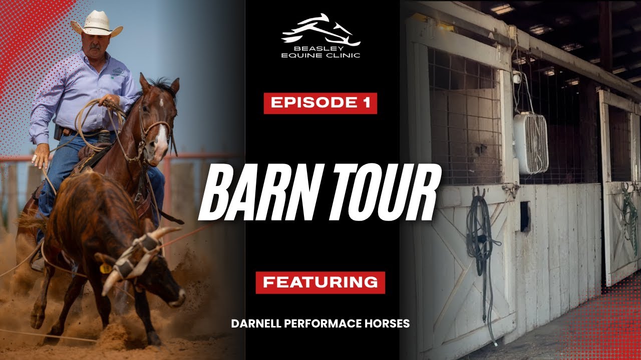 Командная арена с Darnell Performance Horses &mdash; Экскурсия по конюшням, эпизод 1