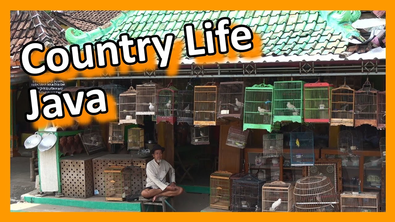Country life on Java, a countryside bicycle tour near Yogyakarta, Indonesia