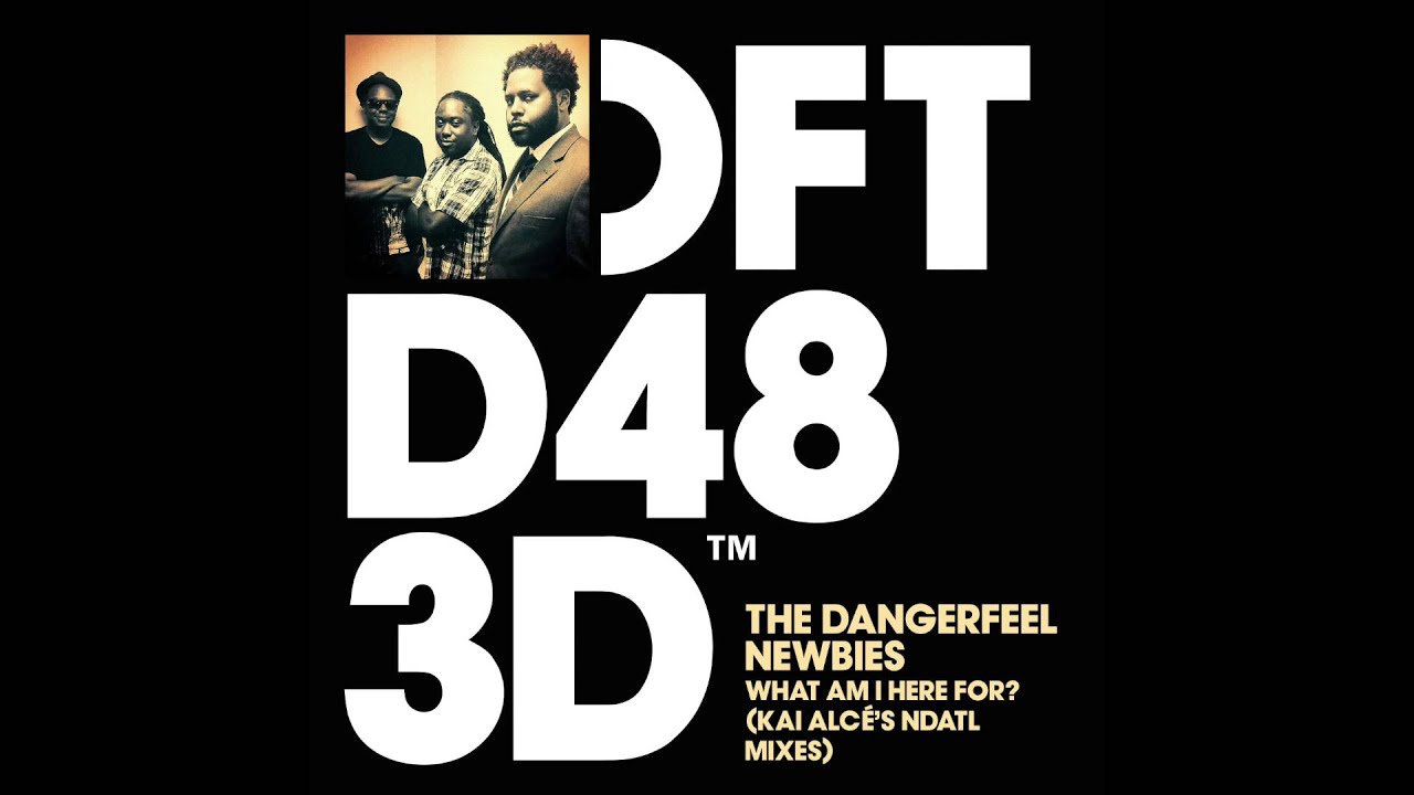 The DangerFeel Newbies 'What Am I Here For?' (Original NDATL Vocal)