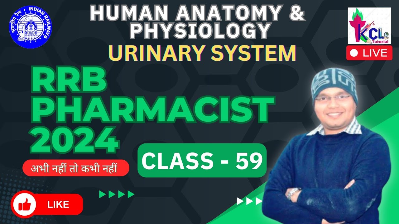 RRB Pharmacist 2024, Class -59 - Urinary System, Excretory System - Human Anatomy & Physiology LIVE