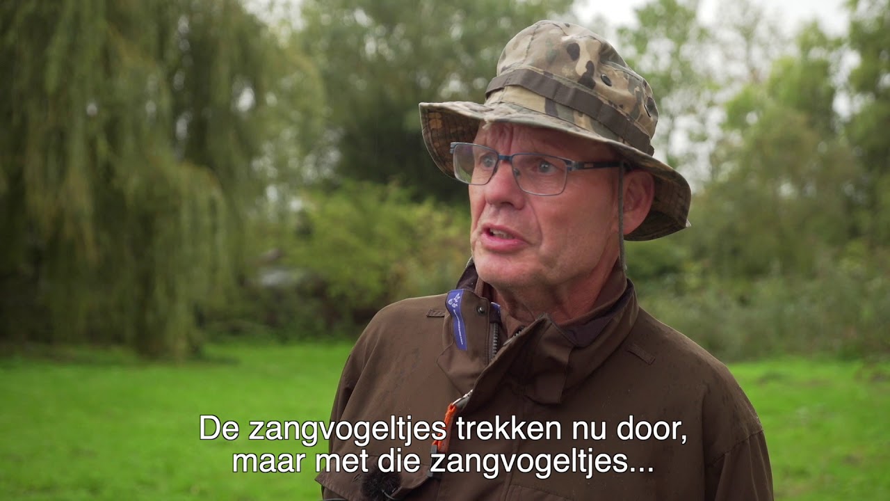 Vogeltrek in de herfst op Tiengemeten