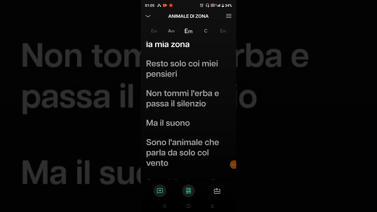 KARAOKE - LITFIBA - ANIMALE DI ZONA