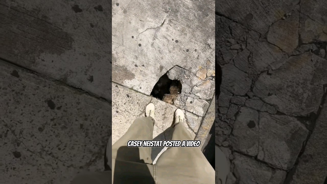 we went into tunnels under a NYC sidewalk