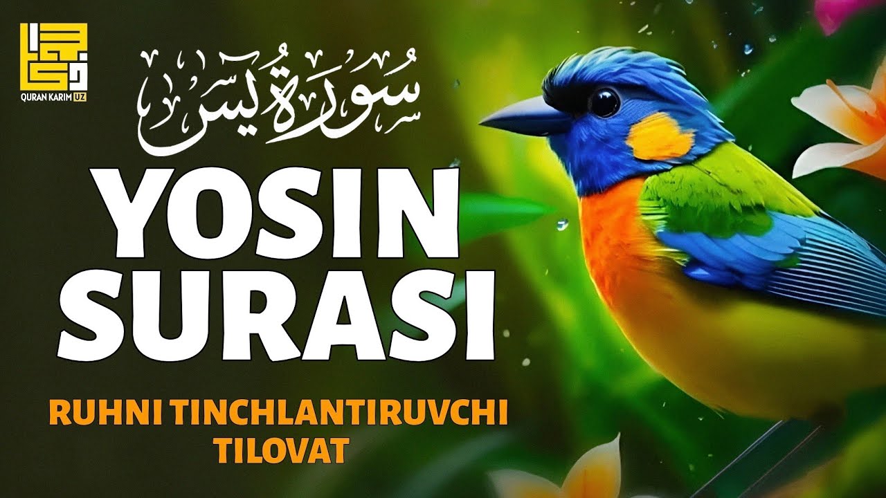 🔊❤ЁСИН СУРАСИ – ЎЗБЕК ТИЛИДА, ҲАР КУНИ ЭРТАЛАБ ТИНГЛАНГ!  ЎЗБЕКЧА ДУОЛАР / ТОНГИ ДУО 🤲