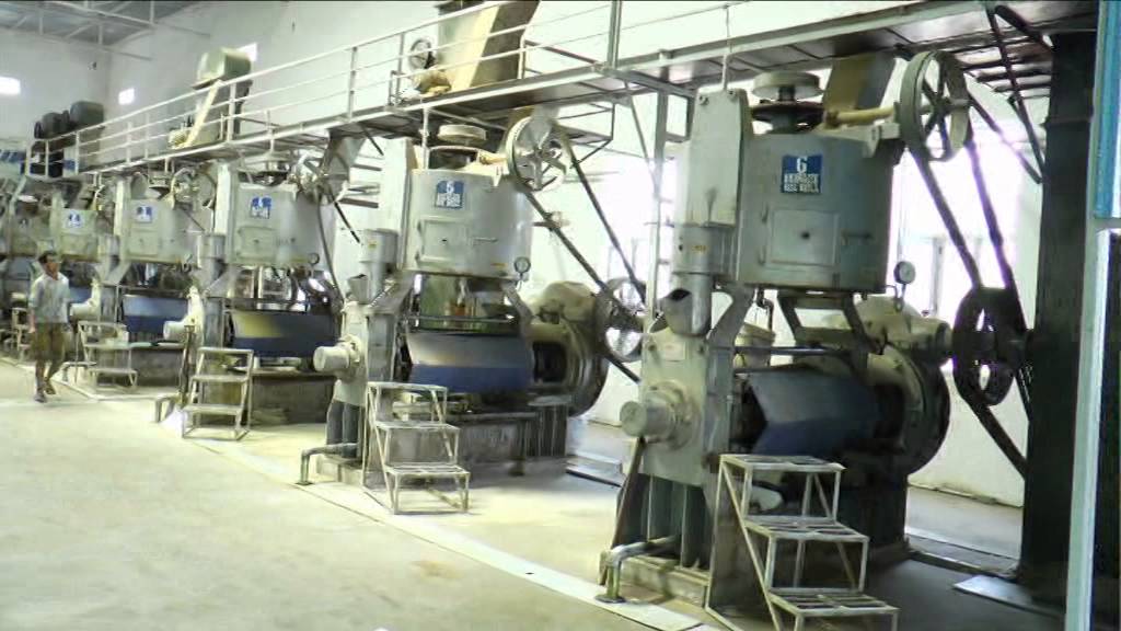 musturd oil plant