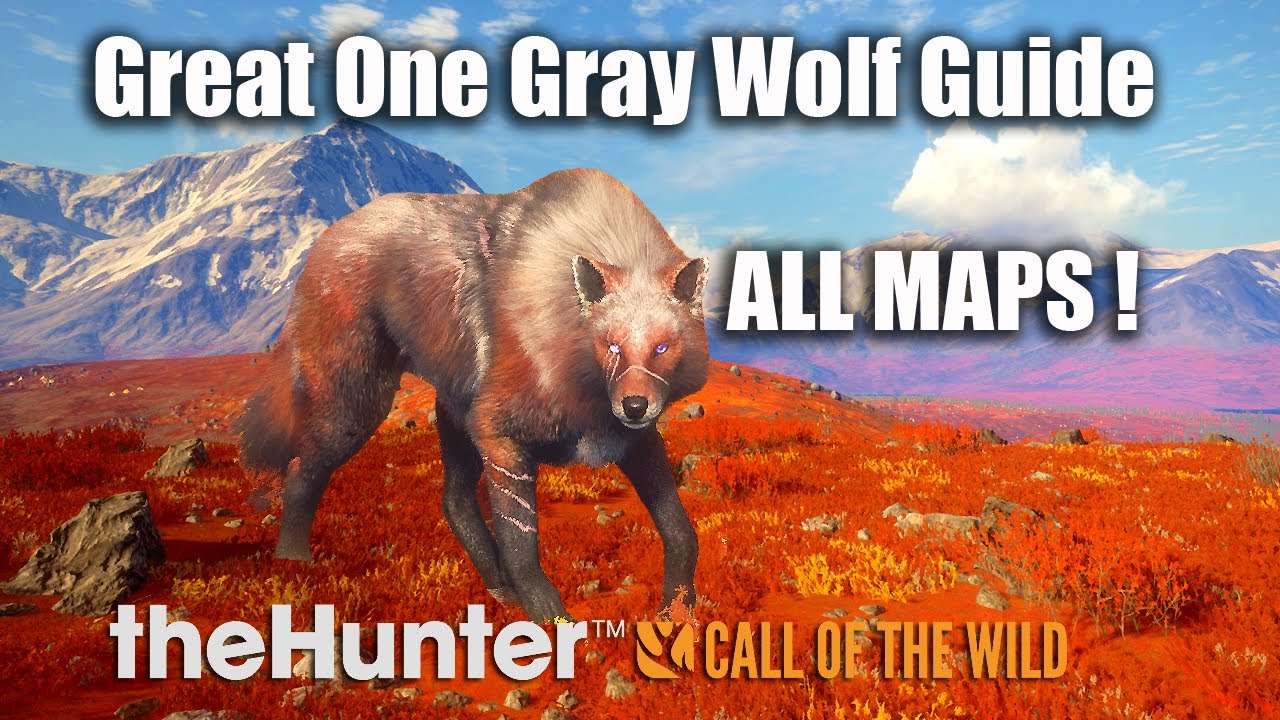 Руководство по игре Great One Gray Wolf &mdash; ВСЕ КАРТЫ! &mdash; theHunter Call Of The Wild