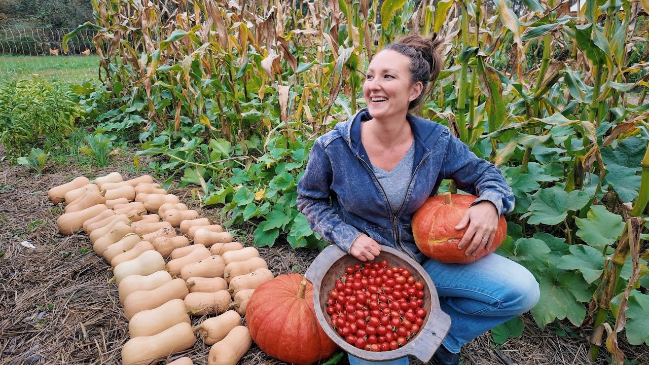 FINAL Harvest Before Winter Hits! Zone 4A Minnesota