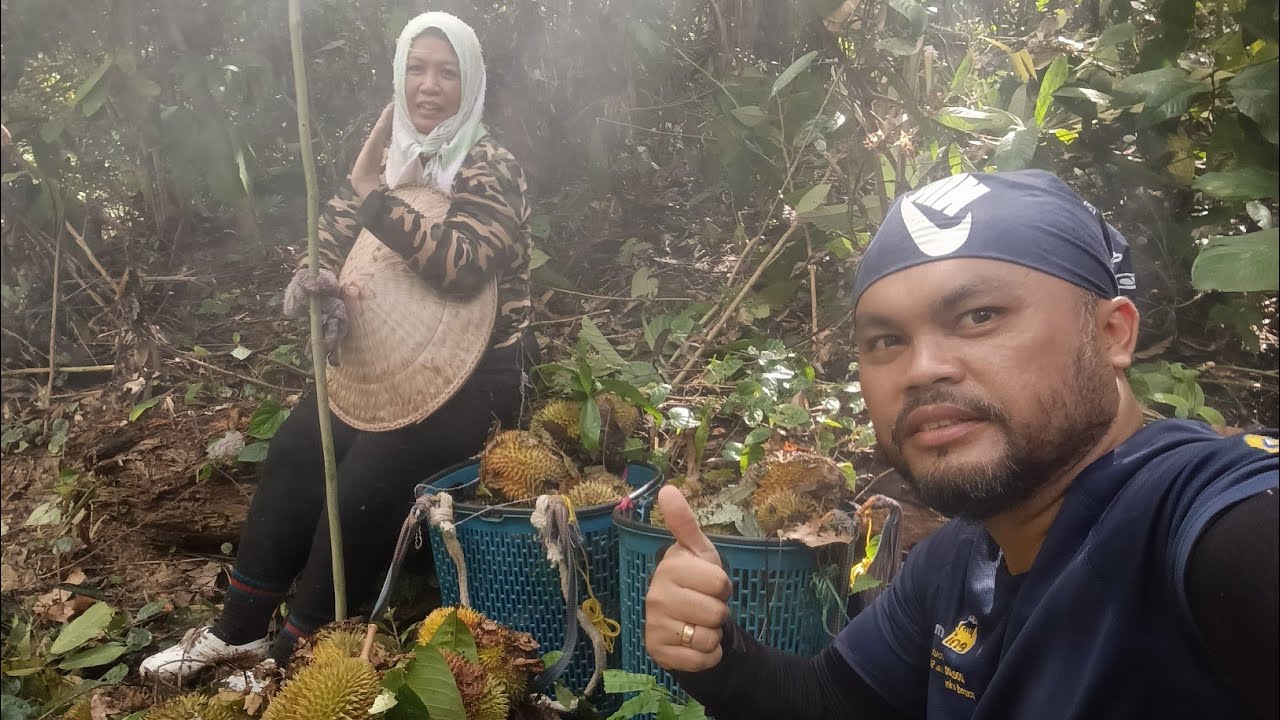 Kena ngepun ke Taun 2026 // Ngumpul buah rian guys.