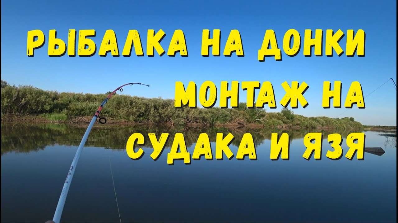 Рыбалка на донки - Монтаж на Судака и Язя