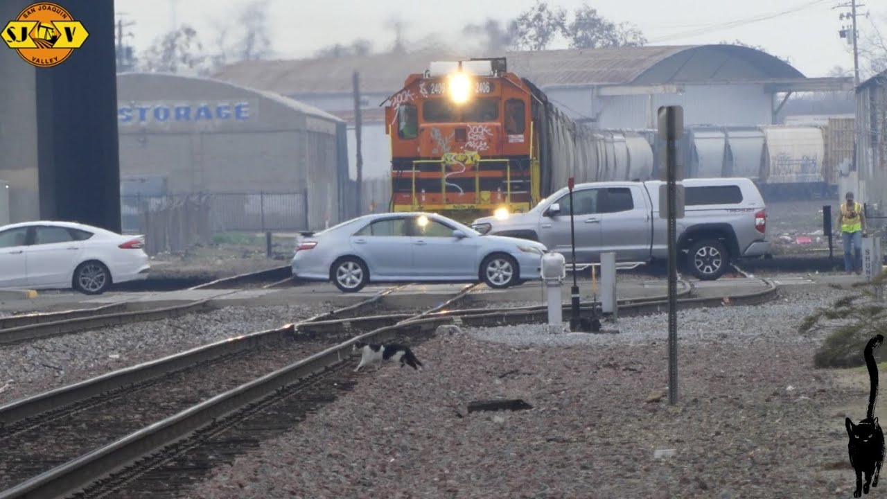 🐱 Cat Strolls in Front of a Train 🚂 - SJVR 719 Job - Downtown Fresno