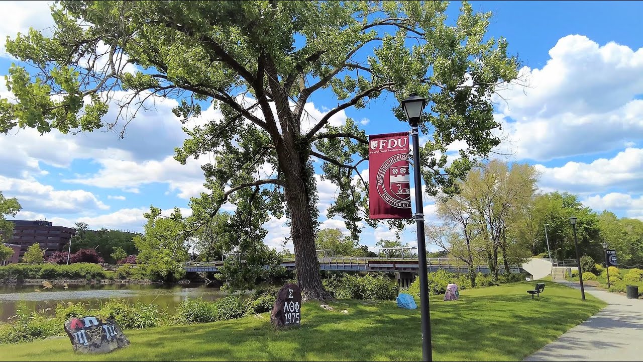 Relaxing Walk on a Sunny Day - Fairleigh Dickinson University [4K]