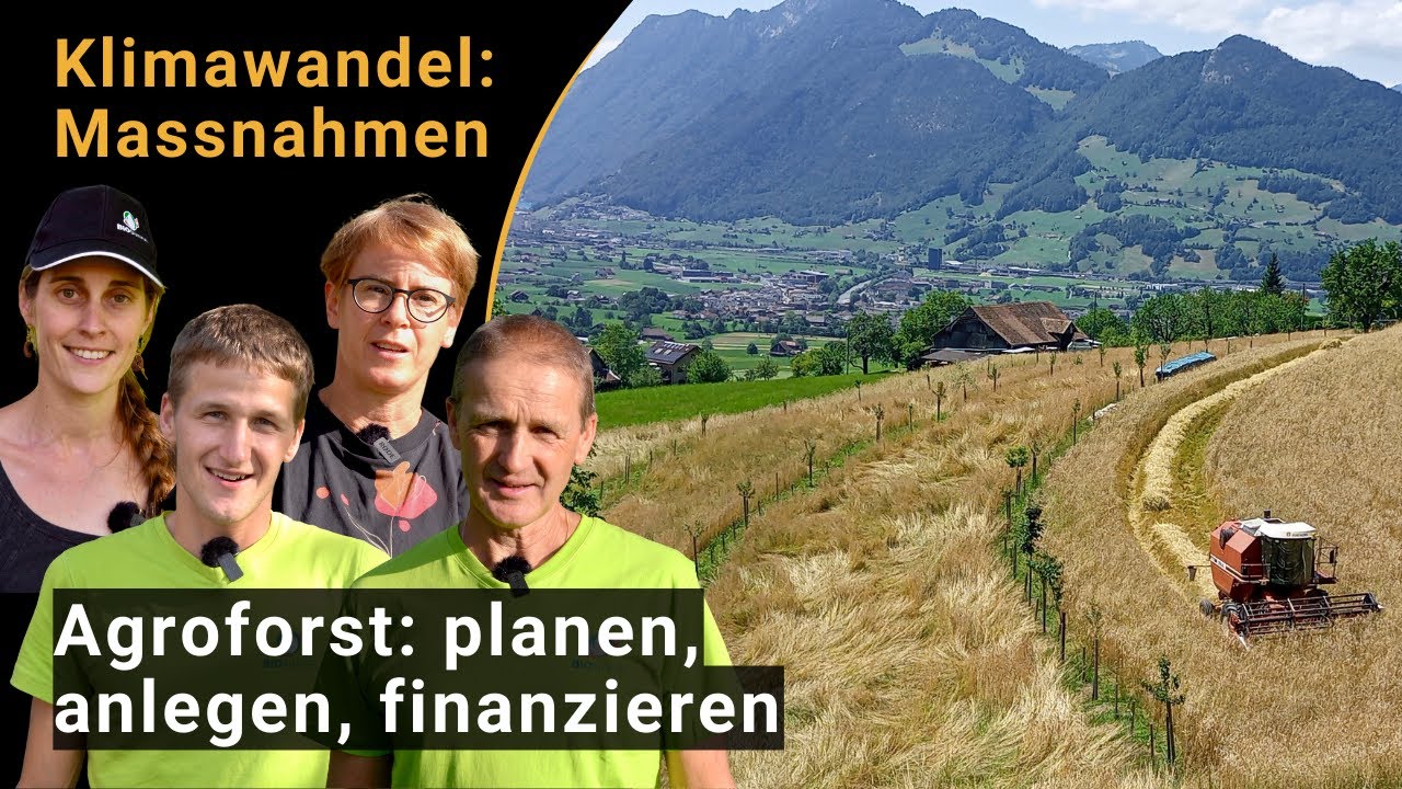 Agroforst-Systeme: Anpassung und Minderung des Klimawandels - Planung, Anlage und Förderprogramme
