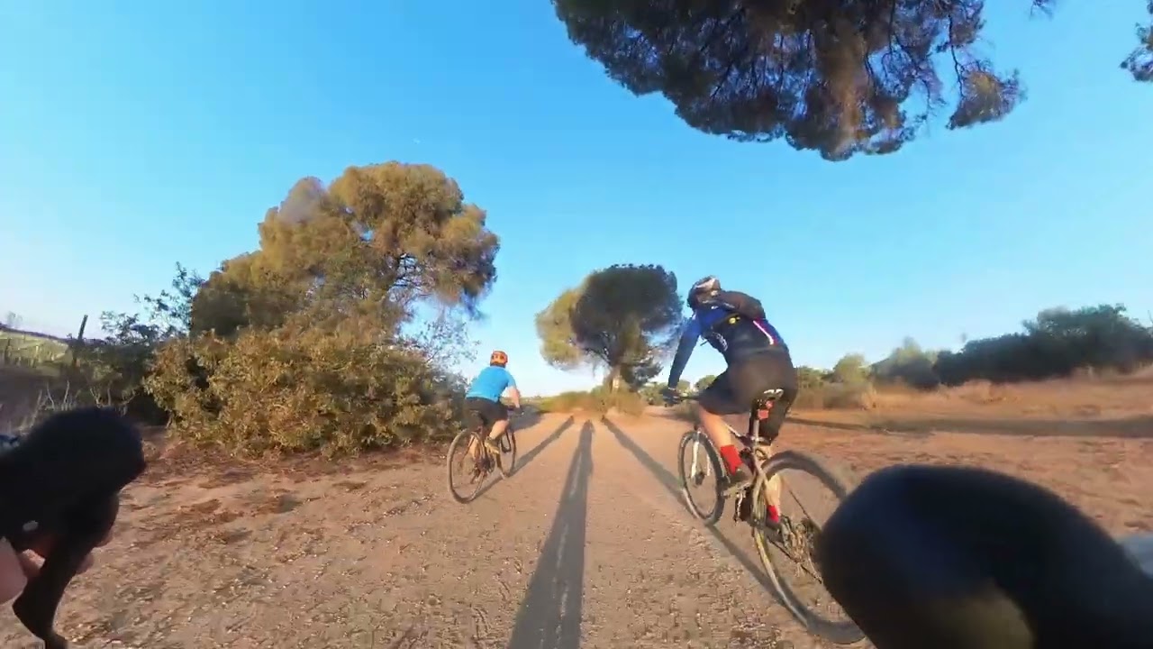 De Sevilla a Matalascañas