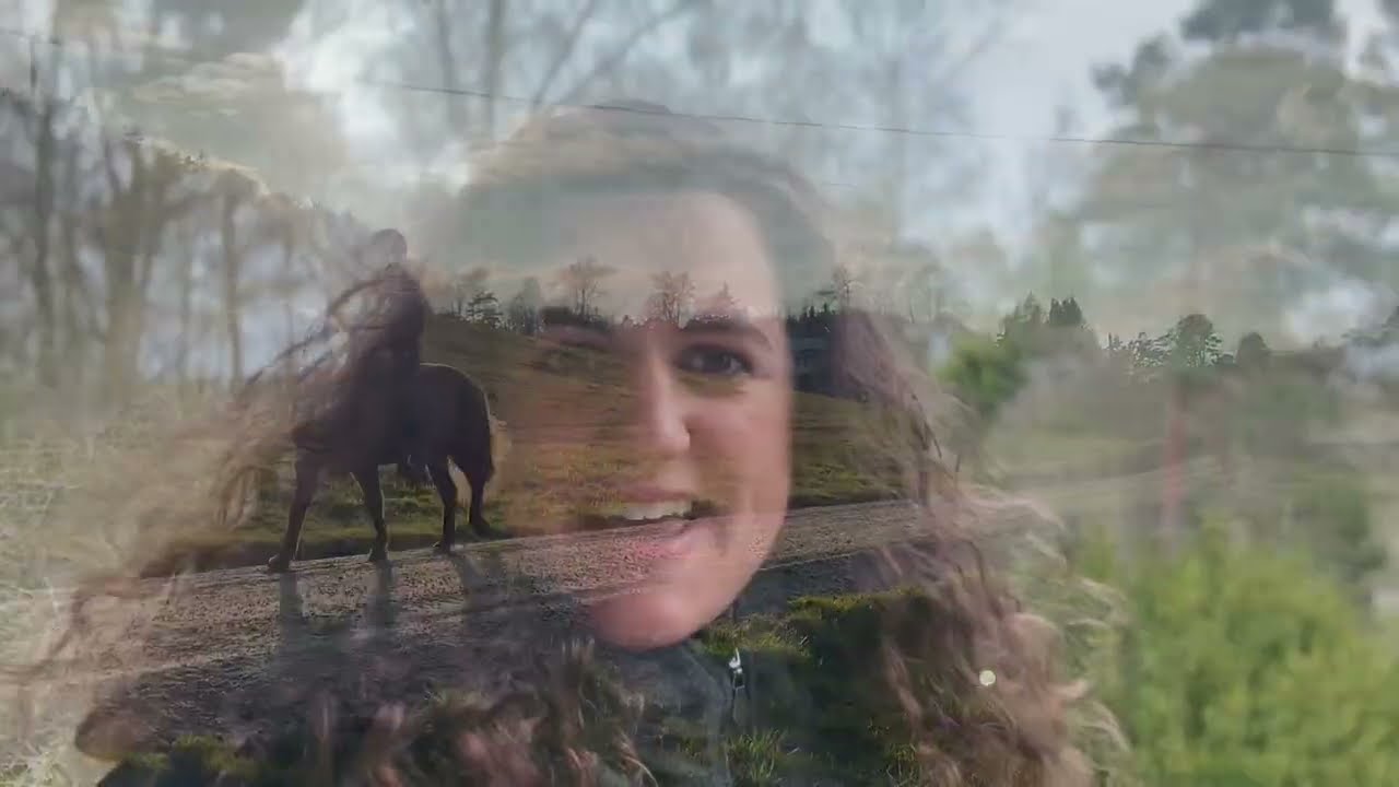 Ulike klasser for Islandshest | Tonje Frandsen Holte VLOG8
