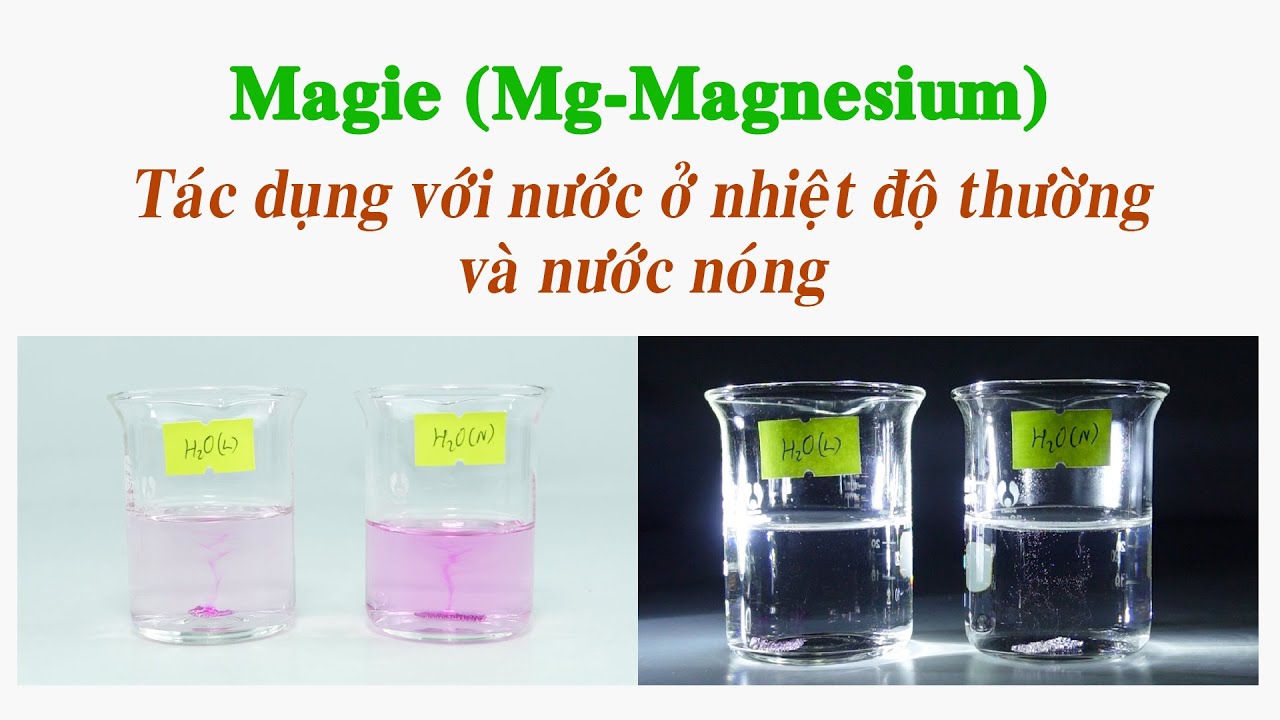 Thí nghiệm Tốc độ phản ứng hóa học - Ảnh hưởng của nhiệt độ. Mg + H2O. Magnesium tác dụng với nước